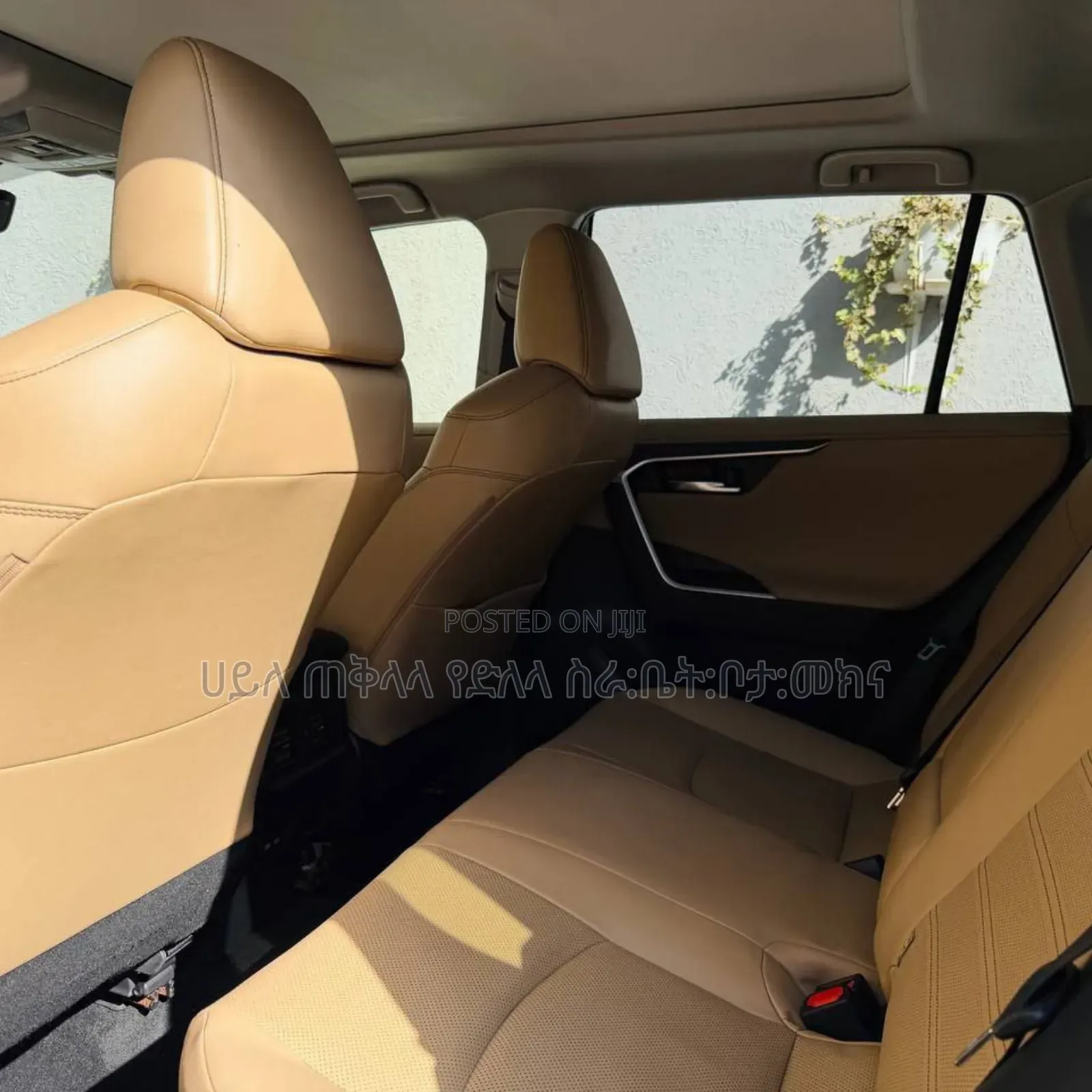 Toyota RAV4 Hybrid 2023 Teal