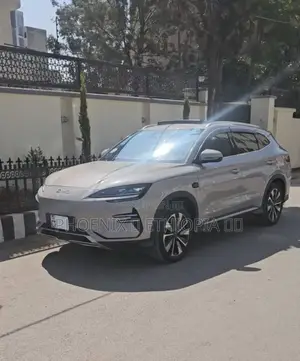 BYD Song Plus 2025 Beige