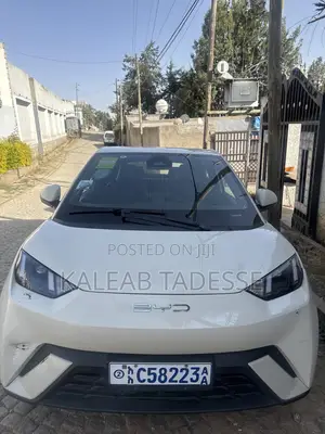 BYD Seagull 38 kWh FWD 2024 White