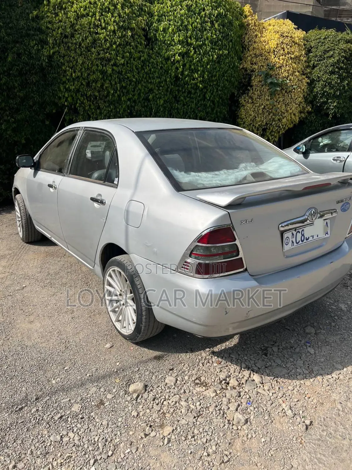 Toyota Corolla 2003 Gray