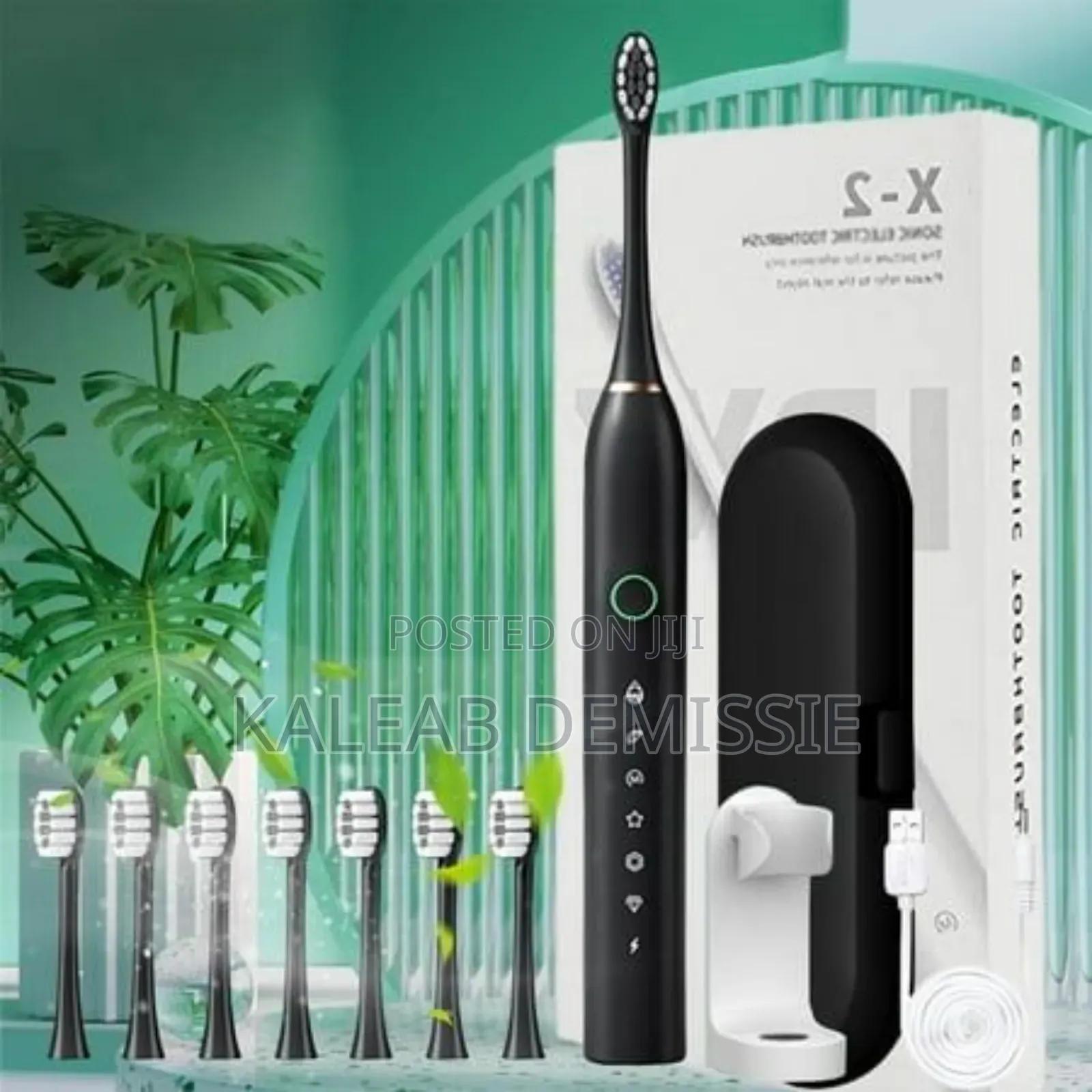 Sonic Electric Toothbrush