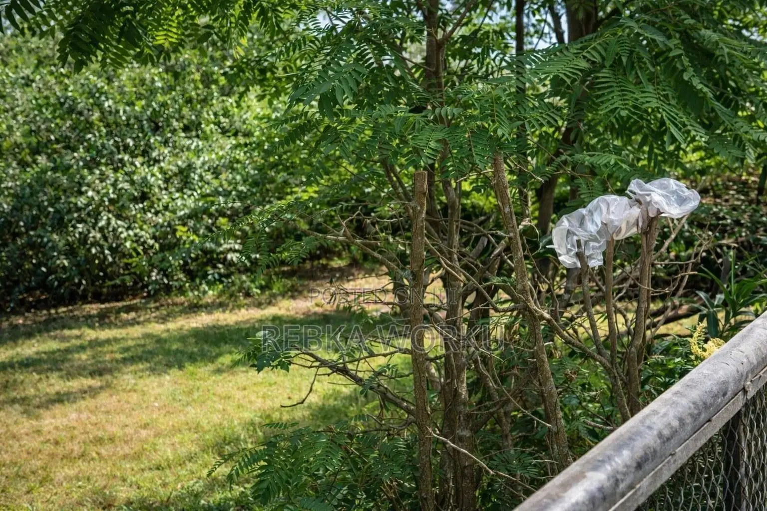 4bdrm House in Meaza, Nifas Silk-Lafto for rent