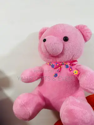 Small Pink Teddy Bear