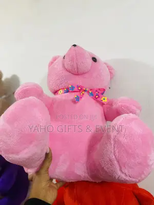 Small Pink Teddy Bear