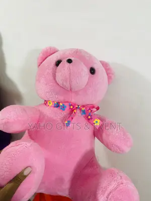 Small Pink Teddy Bear