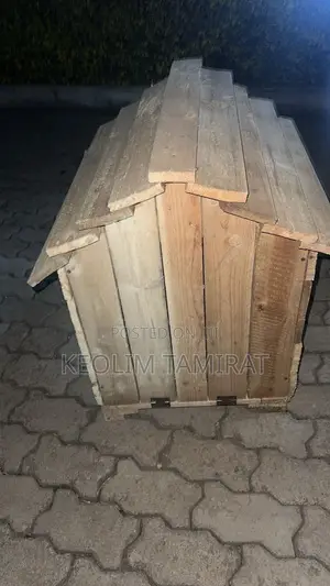 Perfect House for Your Cute Little Dog