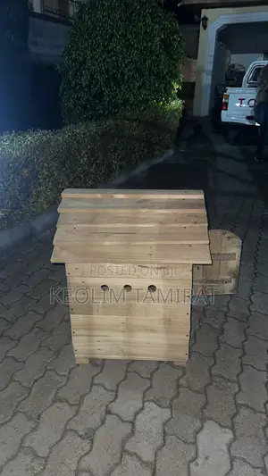 Perfect House for Your Cute Little Dog