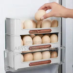 Egg Storage Rack 30 Eggs in One