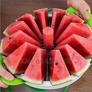 Stainless Steel Watermelon Cutters