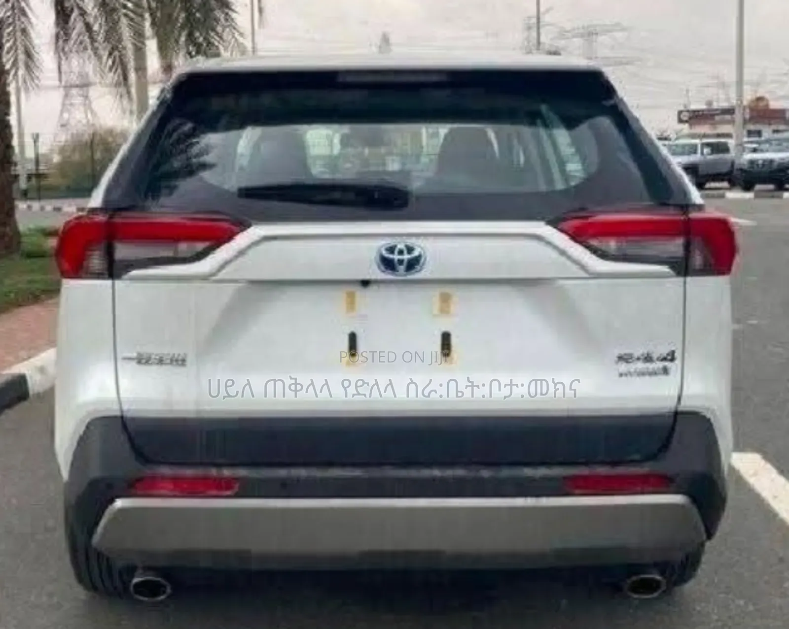 New Toyota RAV4 Hybrid 2024 White
