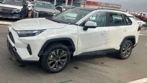 New Toyota RAV4 Hybrid 2024 White