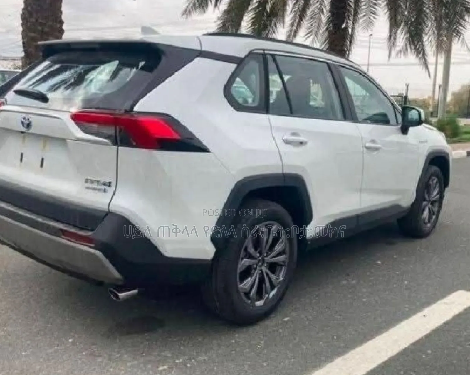 New Toyota RAV4 Hybrid 2024 White