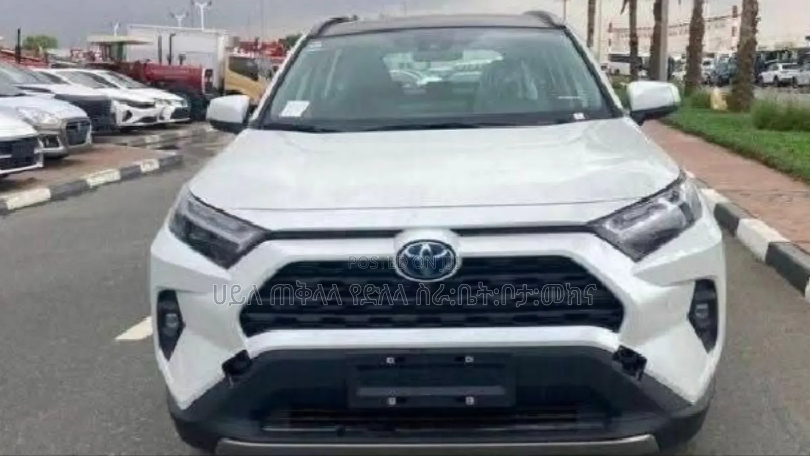 New Toyota RAV4 Hybrid 2024 White