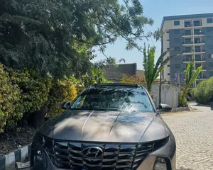 Hyundai Tucson 2021 Pink