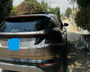 Hyundai Tucson 2021 Pink