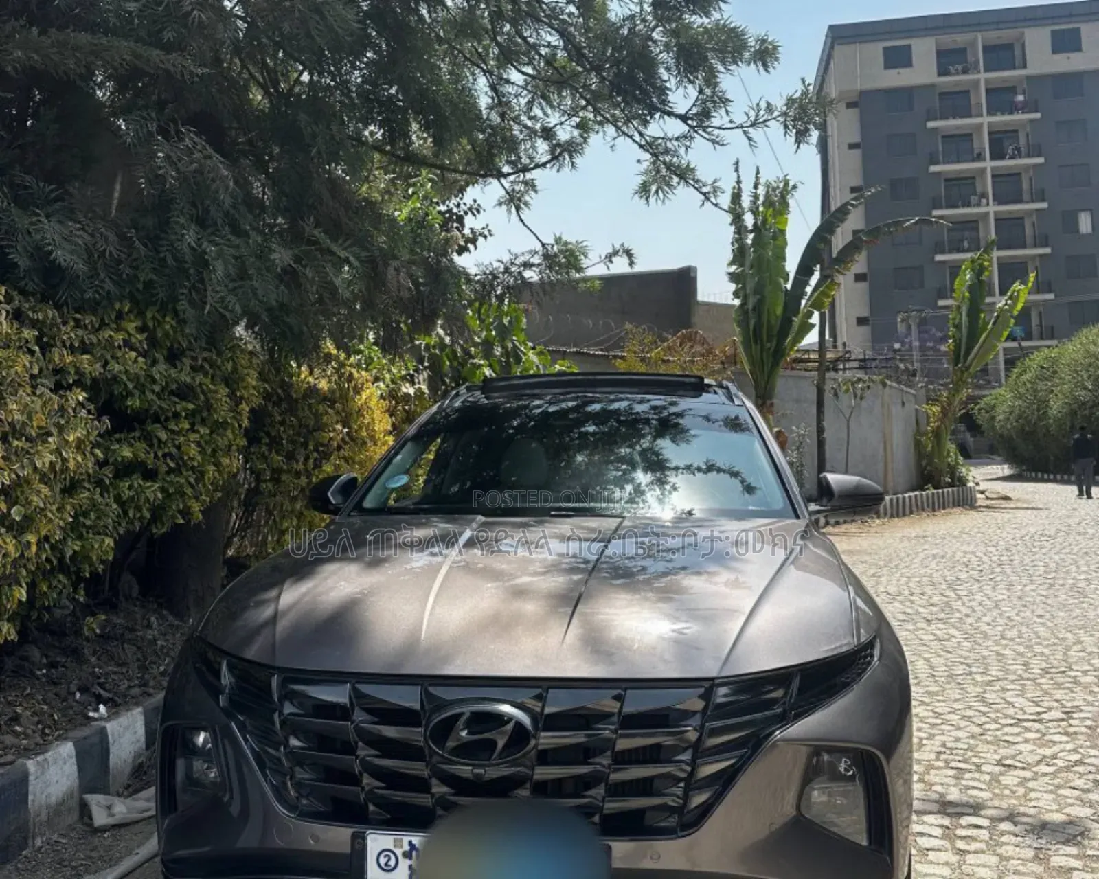 Hyundai Tucson 2021 Pink