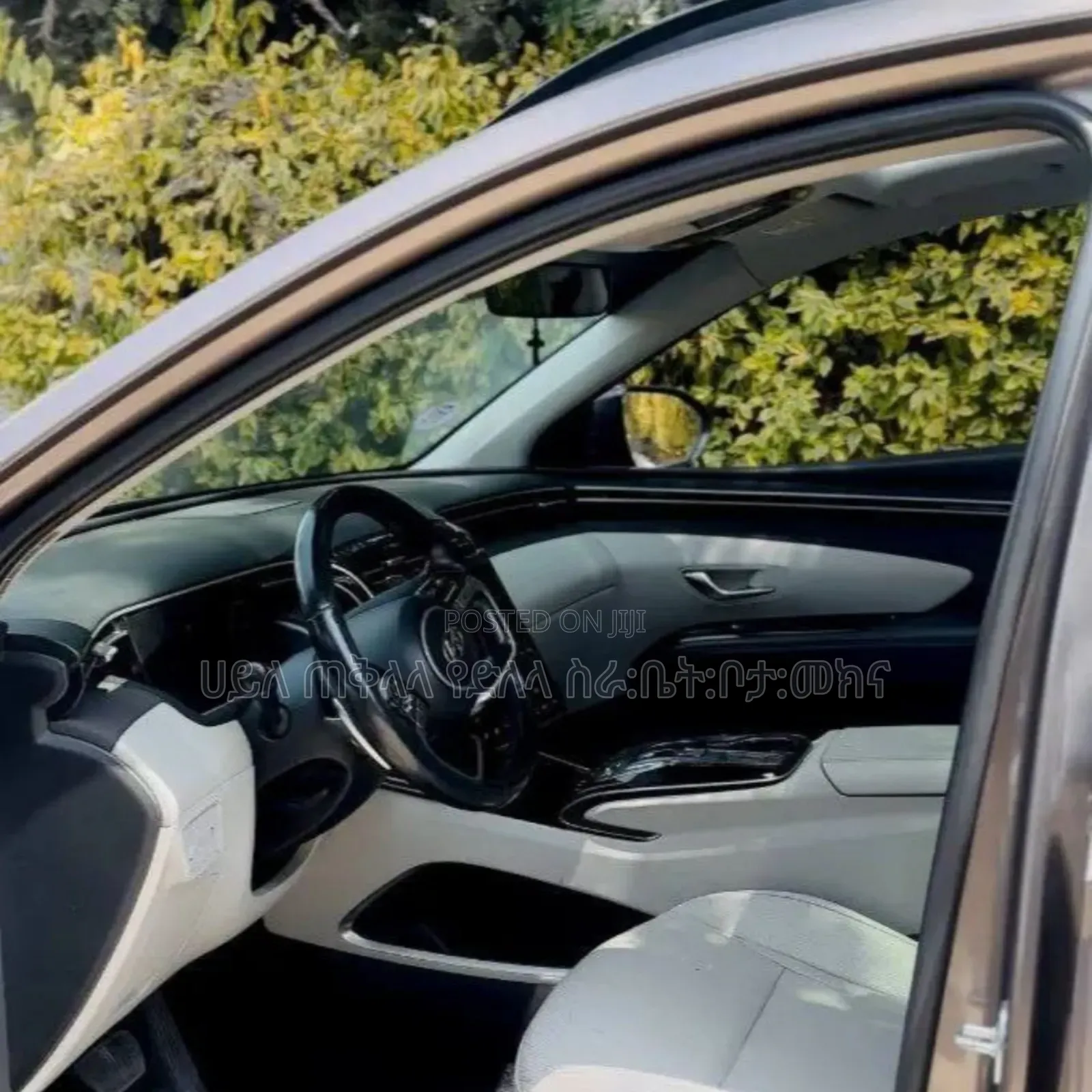 Hyundai Tucson 2021 Pink