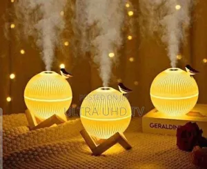 Jesir Lark Bird Mini Humidifier With A Moon Lamp Design.