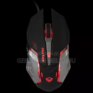 Computer Mouse