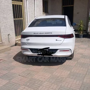BYD Qin Plus DM-i 2024 White