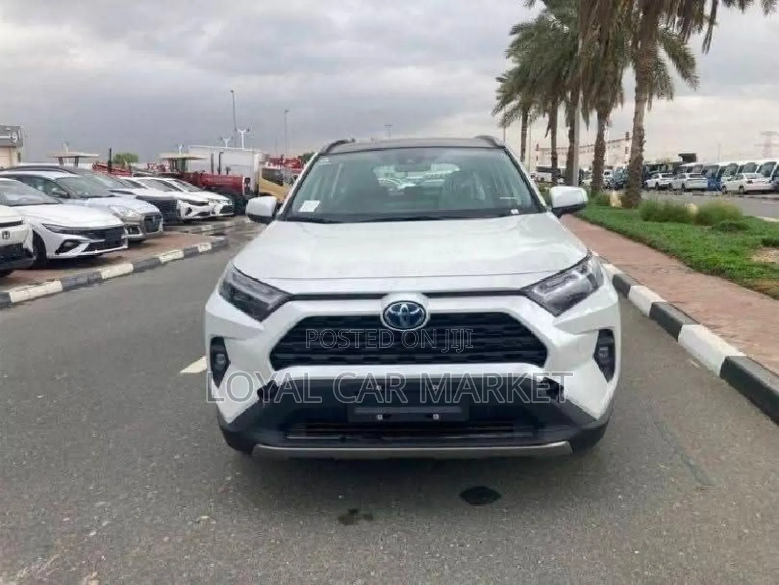 New Toyota RAV4 Hybrid 2024 White