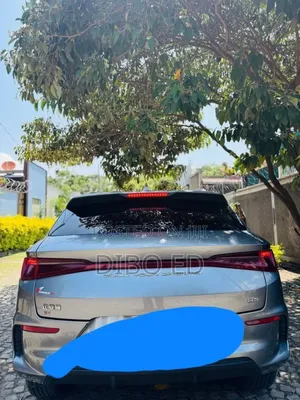 BYD E2 43 kWh 94 hp FWD 2024 Gray