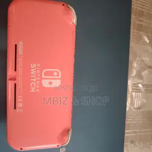 Nintendo Switch Lite