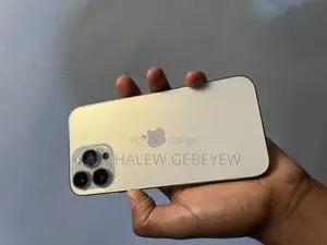 New Apple iPhone 13 Pro Max 128 GB Gold