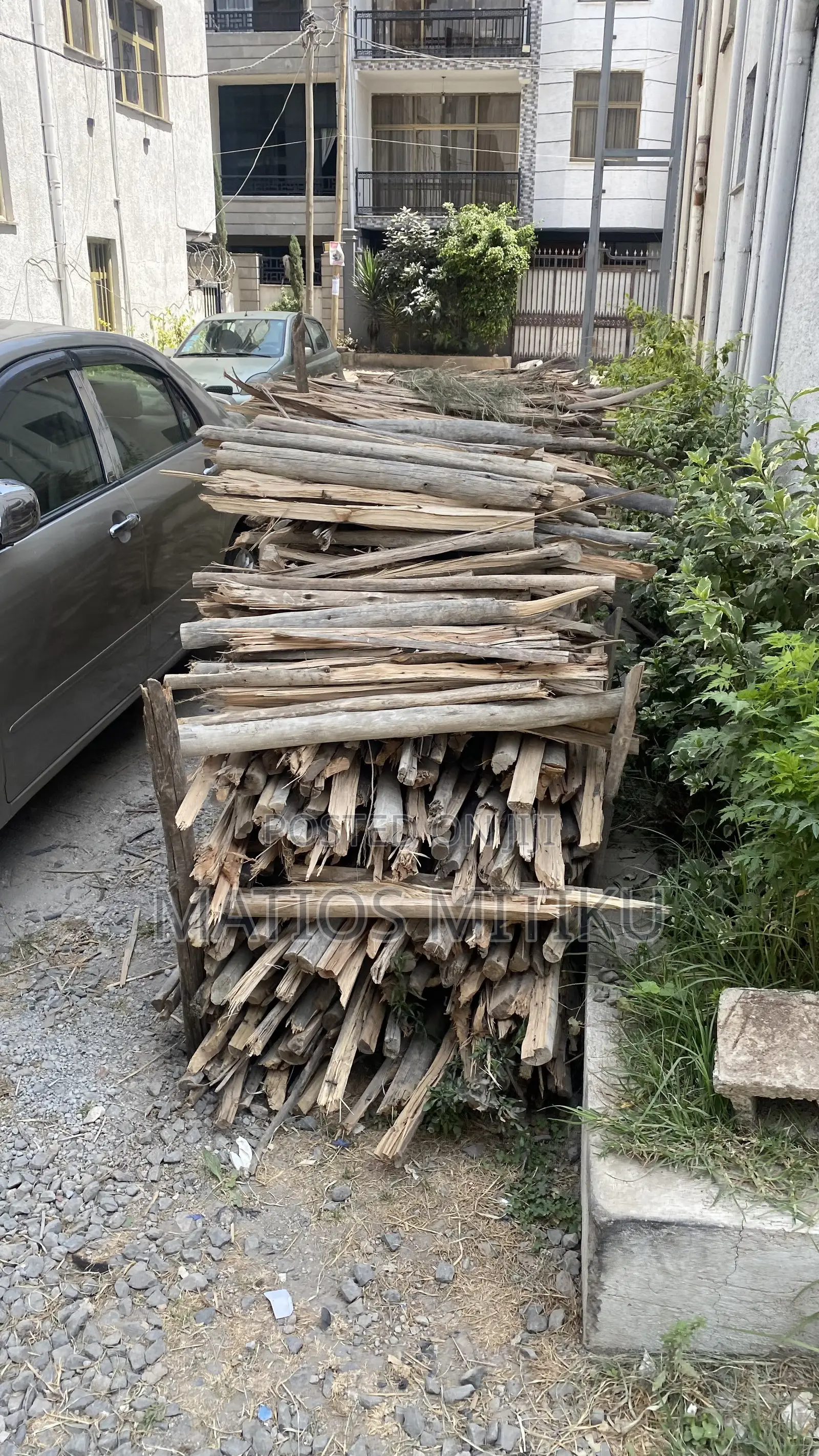 Wood for Sales