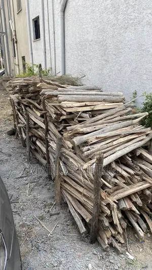 Wood for Sales
