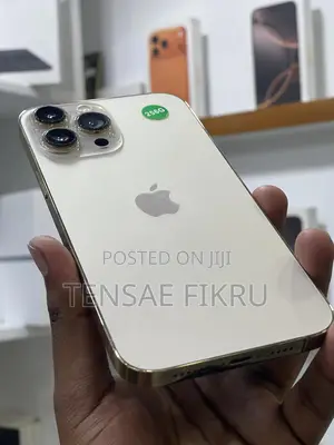 New Apple iPhone 13 Pro Max 256 GB Rose Gold