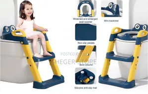 Brand New Potty Training Seat With Ladder
