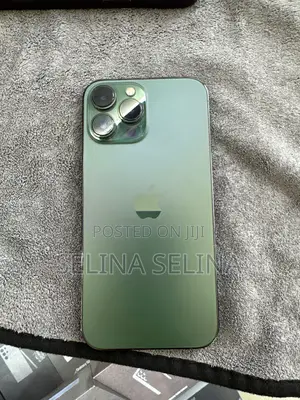 New Apple iPhone 13 Pro Max 256 GB Green