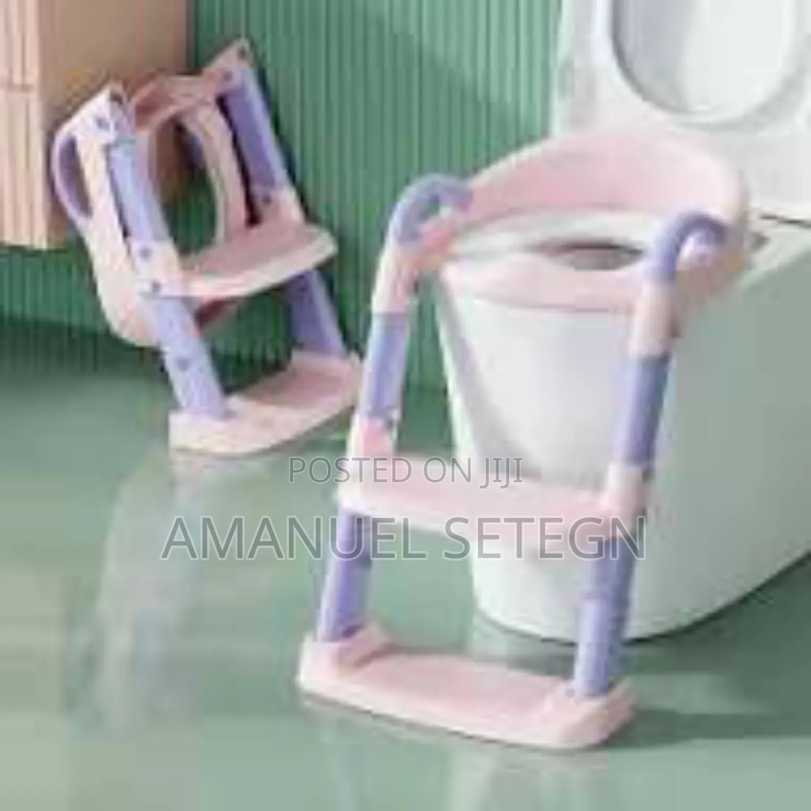 Potty Training Seat With Ladder