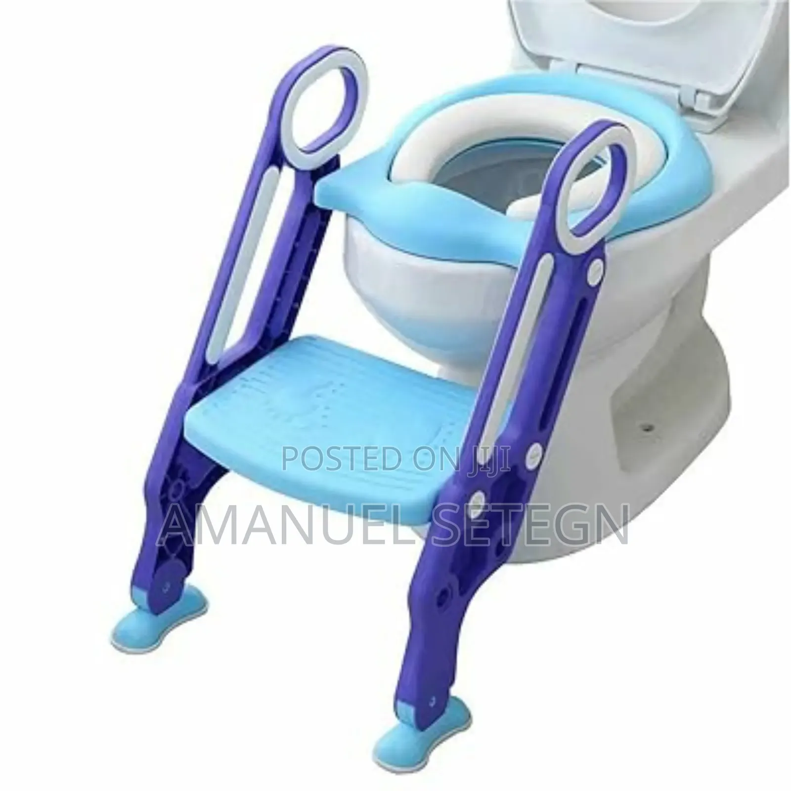 Potty Training Seat With Ladder