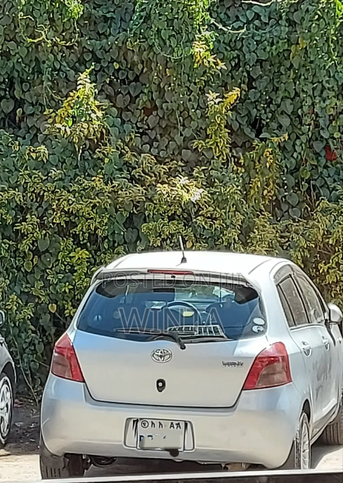 Car for Rent With or Without Driver