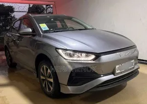 New BYD E2 43 kWh 94 hp FWD 2024 Silver