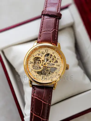 Tevise Gold Skeleton Automatic Watchs