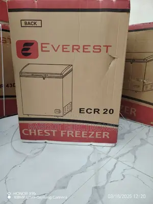 Everst Chest Freezer Model Ever 220l Brand New Dip Freezer Model