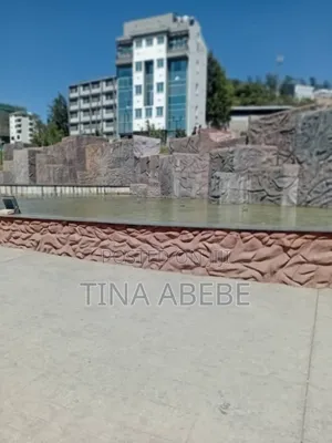 አስቸካይ የሚሸጥ የንግድ ህንፃ