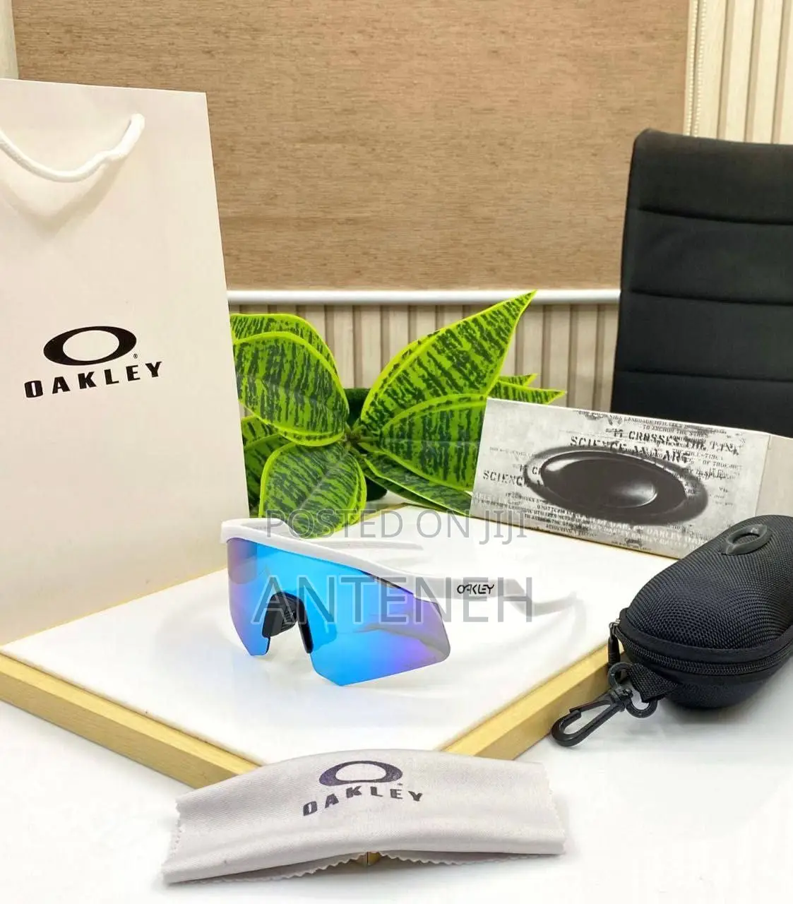 Oakley Glasses