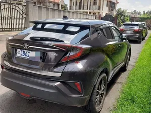 Toyota C-HR 2019 Maroon