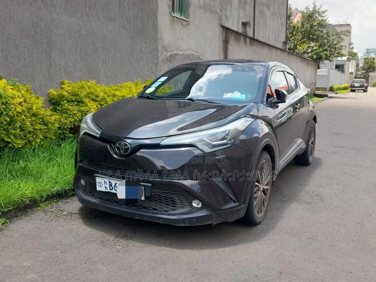 Toyota C-HR 2019 Maroon