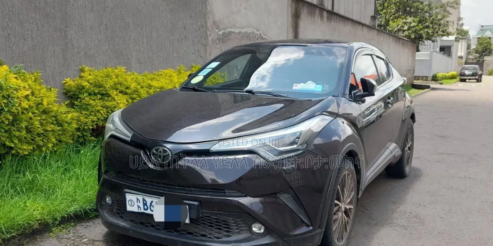 Toyota C-HR 2019 Maroon