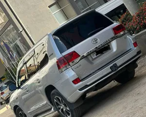 Toyota Land Cruiser 2009 Silver