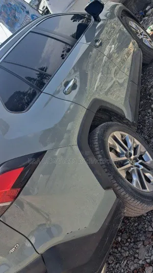 Toyota RAV4 LE 2021 Green