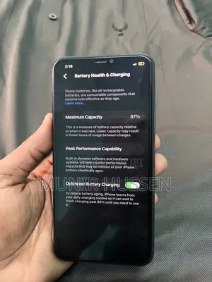 Apple iPhone 11 Pro Max 256 GB Blue