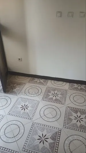 1bdrm Apartment in Bole for rent