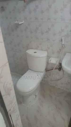 1bdrm Apartment in Bole for rent