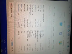 New Apple iPad Wi-Fi 64 GB Pink